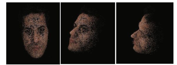 3D Face Reconstruction Using Images from Cameras with Varying
