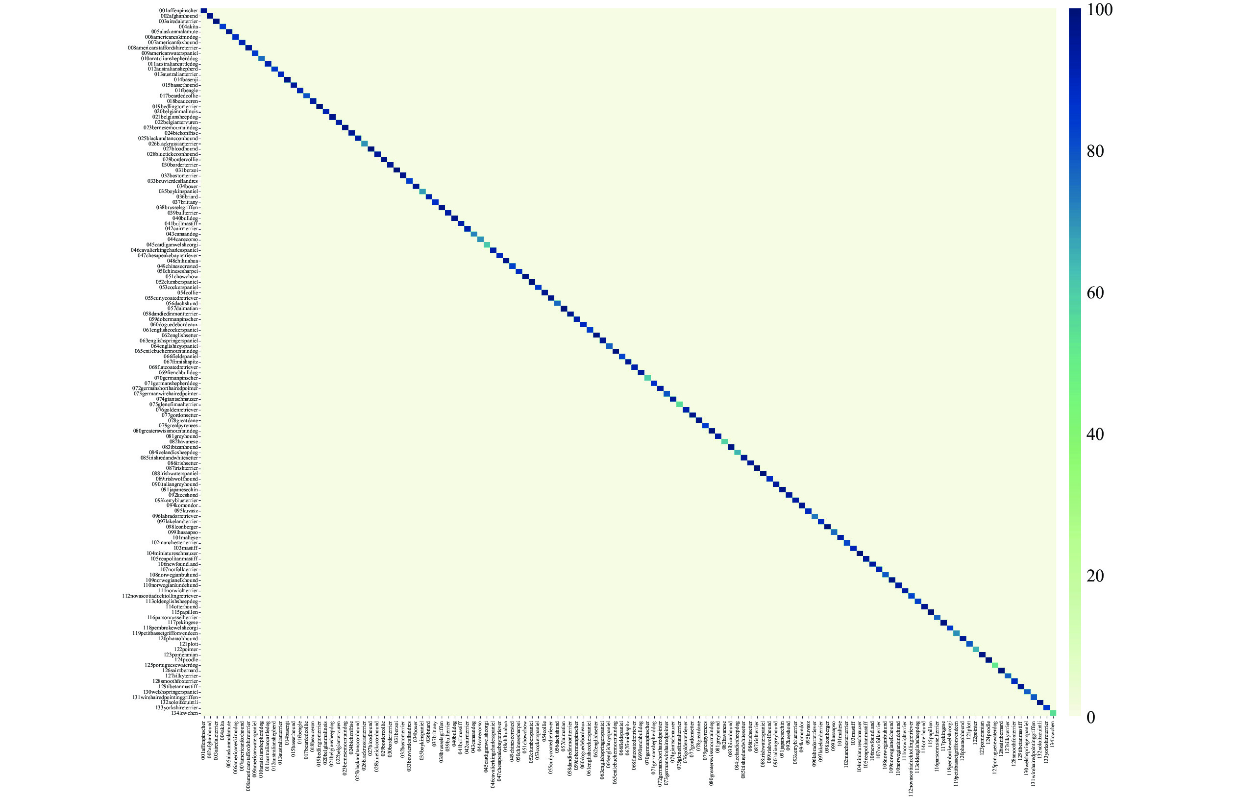 xoloitzcuintli google translate