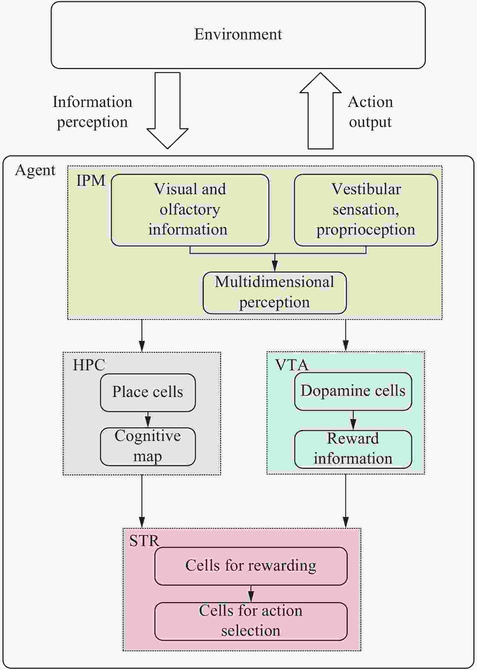 A Spatial Cognitive Model that Integrates the Effects of Endogenous and ...