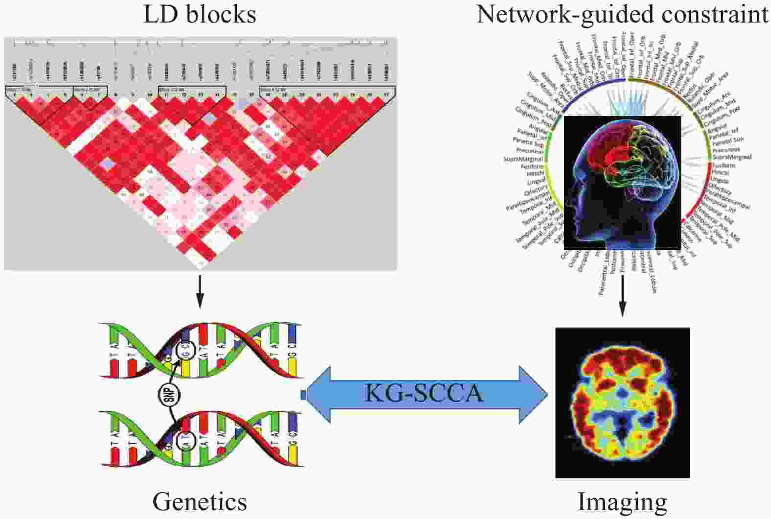 Machine Intelligence Research