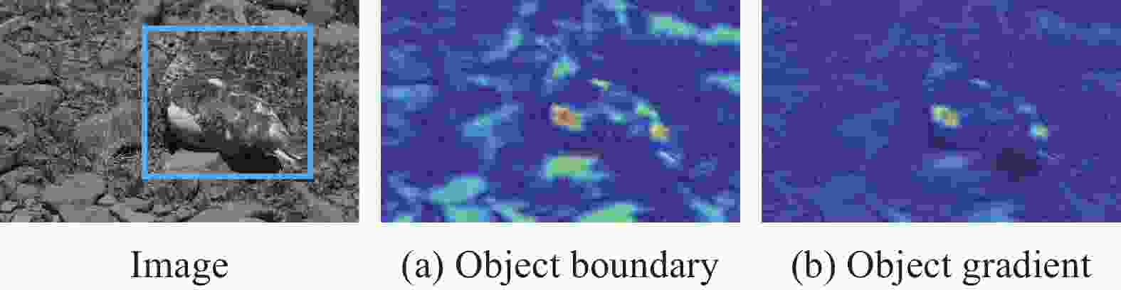 Deep Gradient Learning for Efficient Camouflaged Object Detection